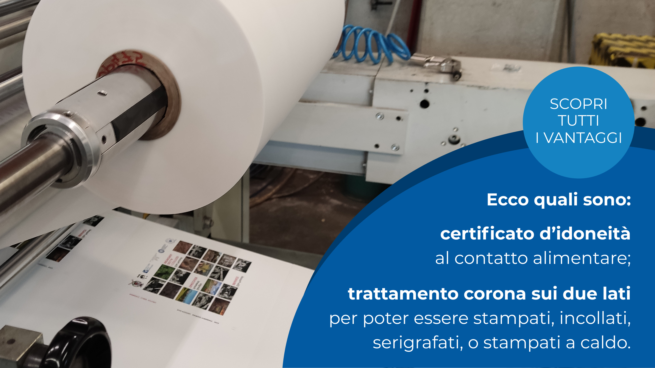plastificatrice - il grappolo